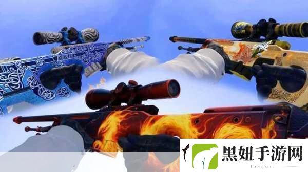 日本CSGO大姐姐AWP价格多少钱