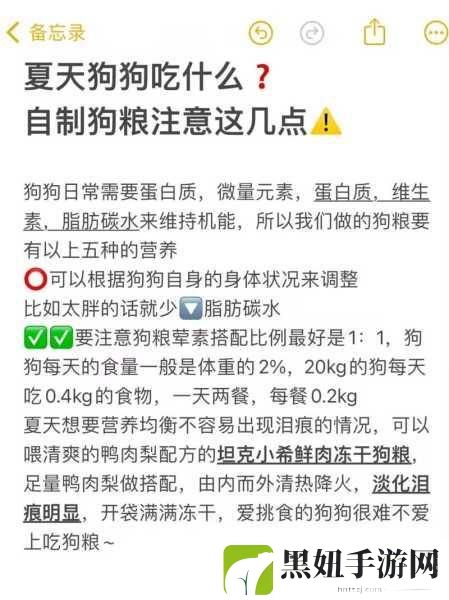 人狗胶配方大全狗狗，1. 自制健康狗粮：全面提升爱犬营养