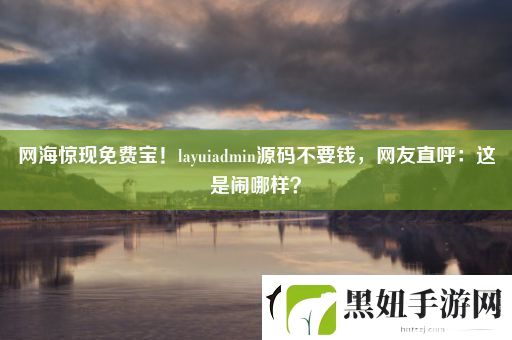 网海惊现免费宝！layuiadmin源码不要钱