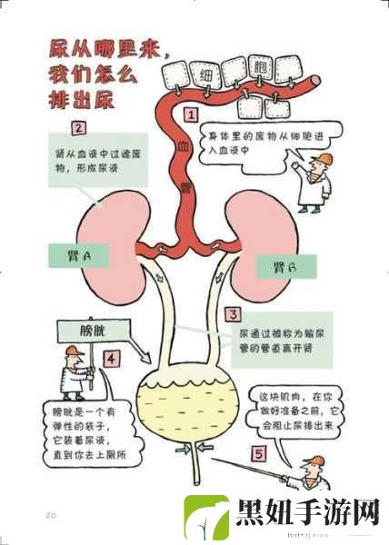 女性到达顶峰有想尿床的症状吗，女性在生理高峰期出现尿意的原因探讨