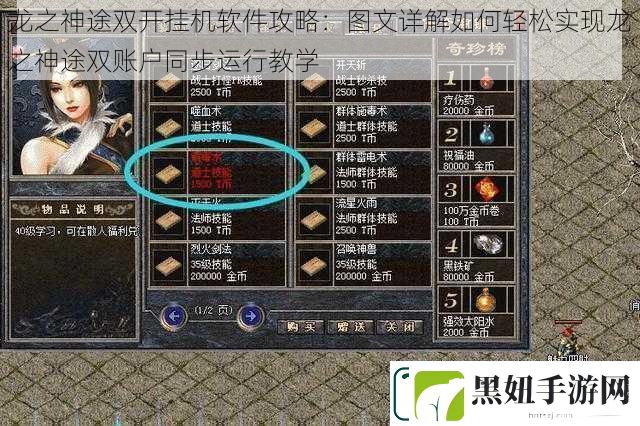 龙之神途双开挂机软件攻略