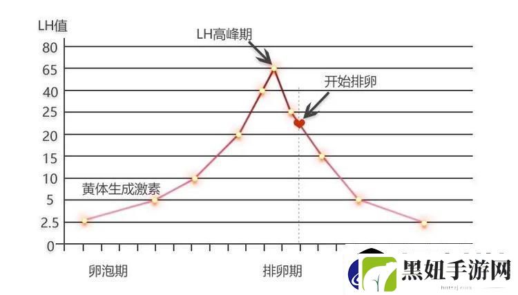 高能粒子碰撞