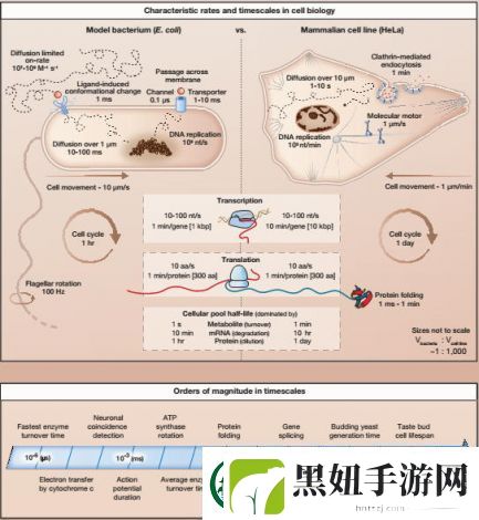 第四纪元