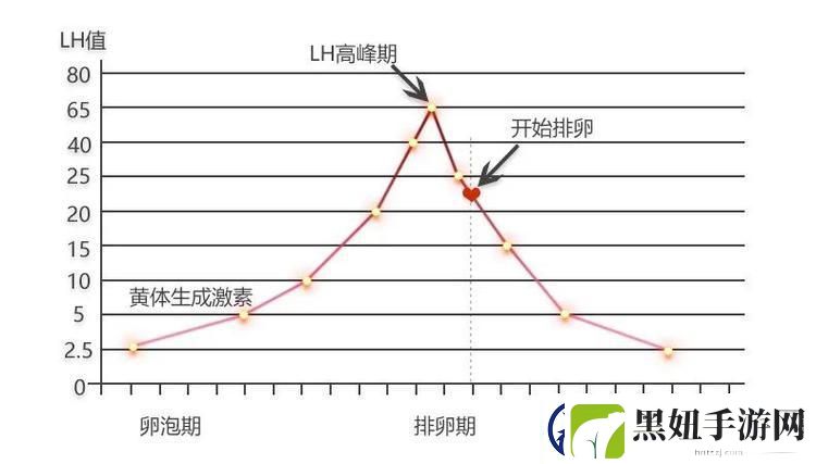 高能粒子碰撞