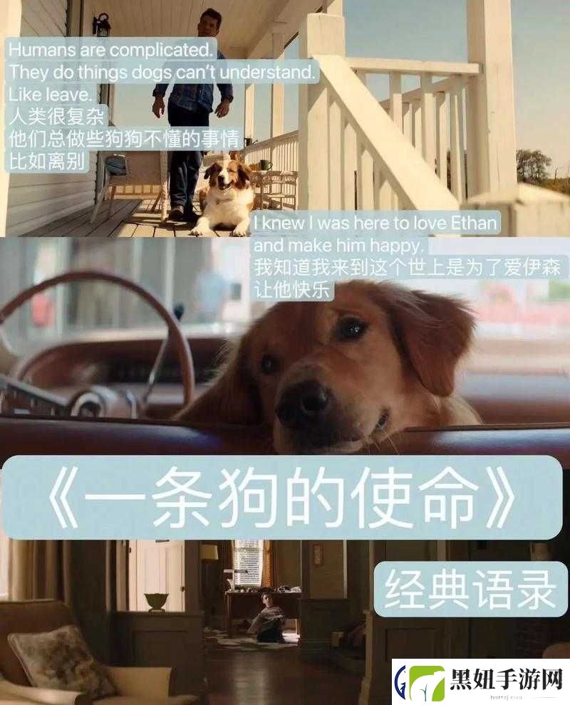 私人影片