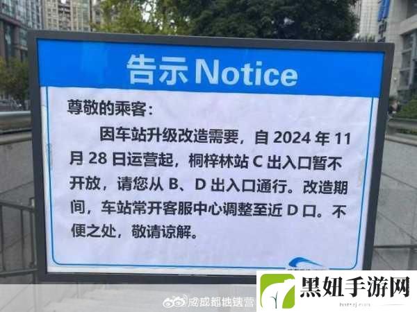 地铁上高c走不了路，1. 地铁高峰期与行动不便的无声抗争