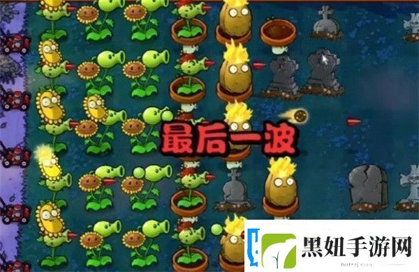 植物大战僵尸杂交版冒险模式第5关如何通关