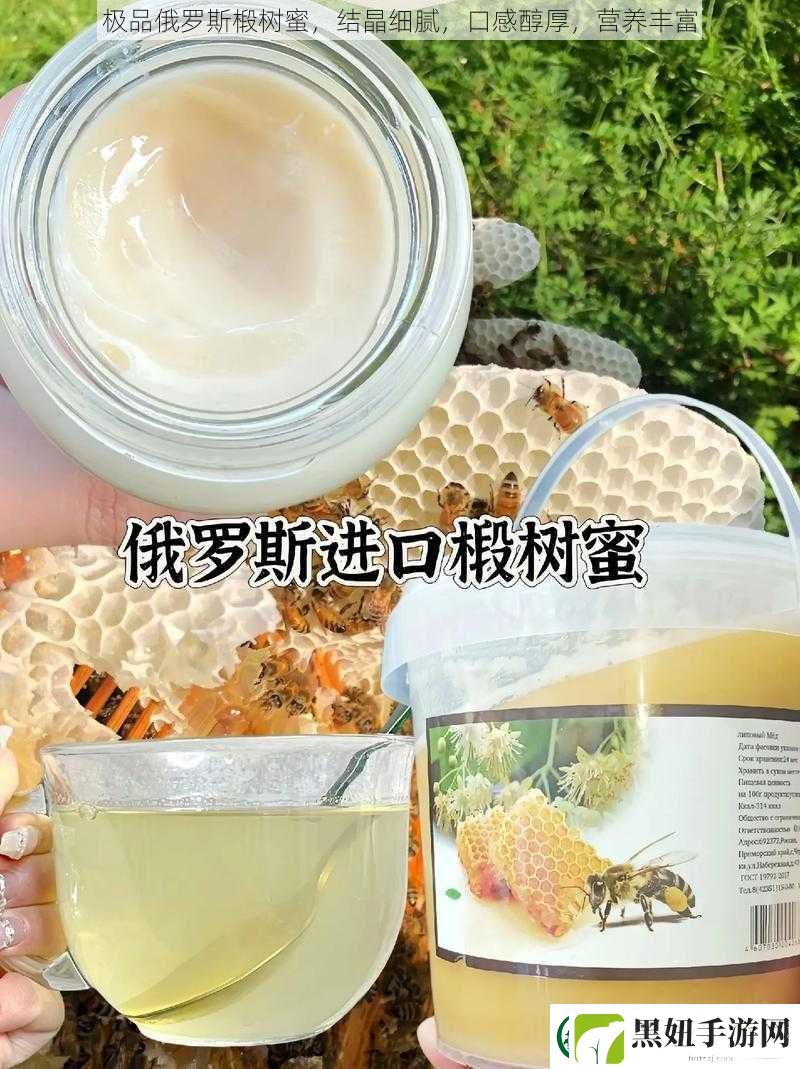 极品俄罗斯椴树蜜