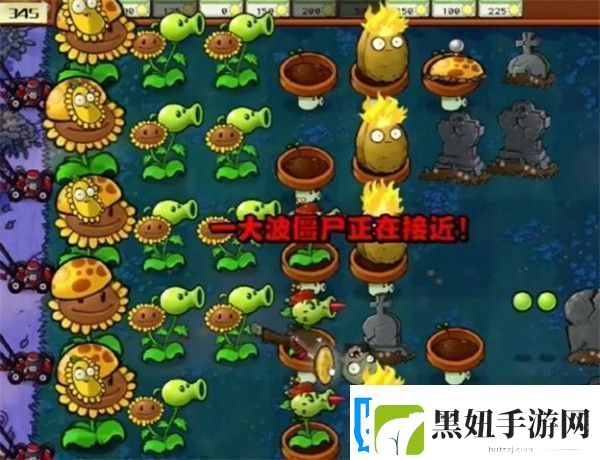 植物大战僵尸杂交版冒险模式第5关如何通关