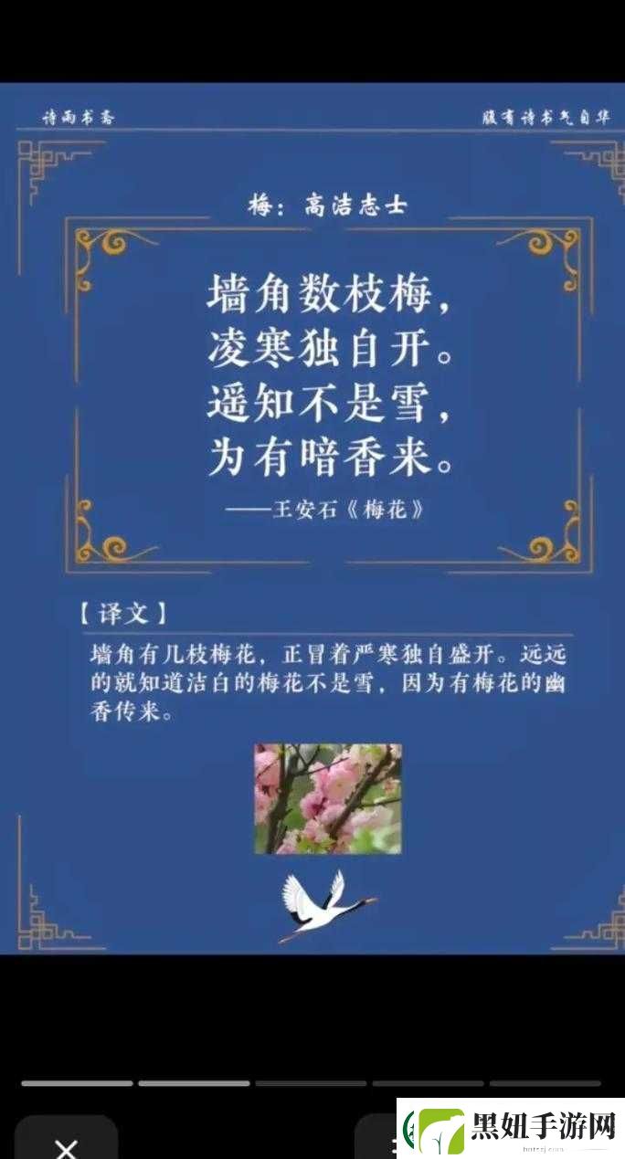 探索花中四君子——梅兰竹菊所蕴含的诗意美感与深刻哲思