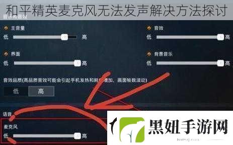 和平精英麦克风无法发声解决方法探讨