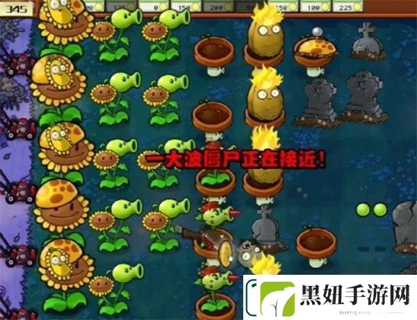 植物大战僵尸杂交版冒险模式第5关如何通关