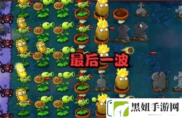 植物大战僵尸杂交版冒险模式第5关如何通关