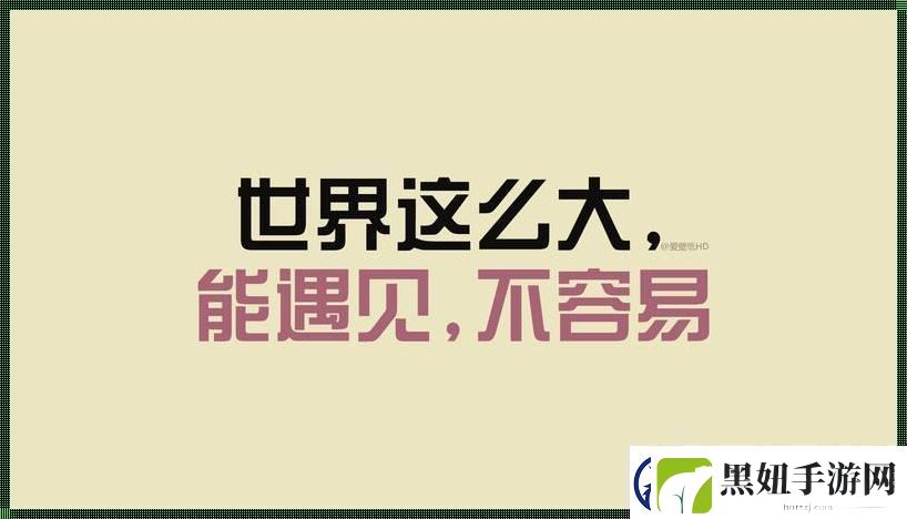 敏静坏老人金句爆笑科技圈！友