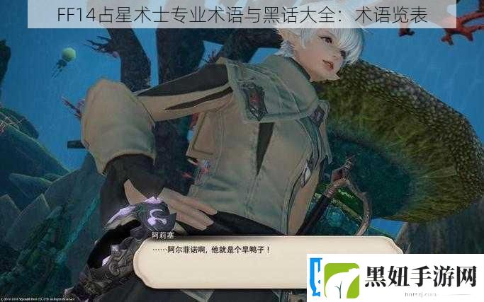 FF14占星术士专业术语与黑话大全