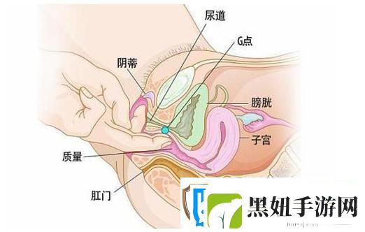 探寻“大荫蒂BBBBBB大荫蒂”的奇妙世界