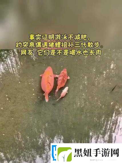 女人鲤鱼喝水