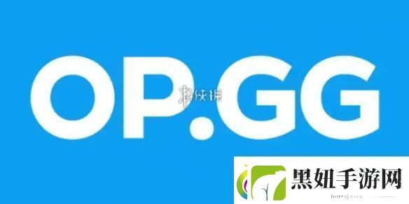 opgg怎么查国服战绩