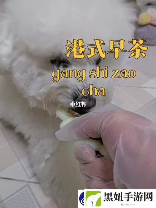 探讨美国人与动物胶配方有几种