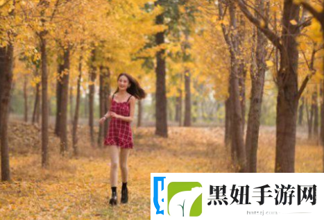 积积积对积积的桶免费软件