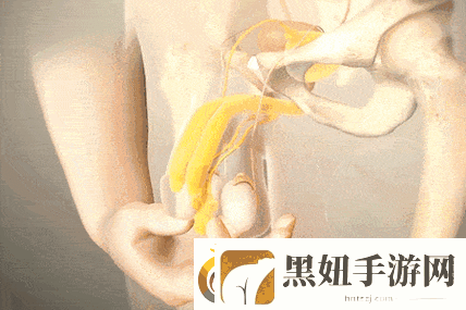 行房时勃不起怎么办