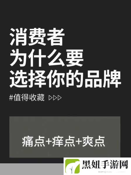 精品二三线品牌如何影响消费者选择，如何影响消费者选择的精品二三线品牌策略分析