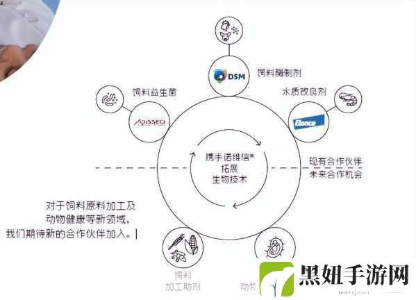 人与畜禽corporation 的教育改革，1. “人与畜禽：教育改革下的可持续发展之路”