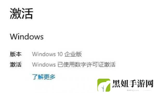 win10专业版激活密钥，1. 深入了解Windows 10专业版的激活密钥获取方式