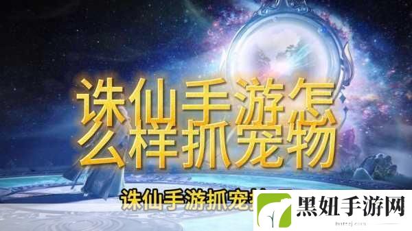 诛仙手游，揭秘稀有宠物获取与辨识秘籍