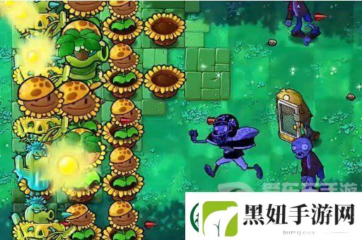 植物大战僵尸杂交版挑战模式第16关怎么过