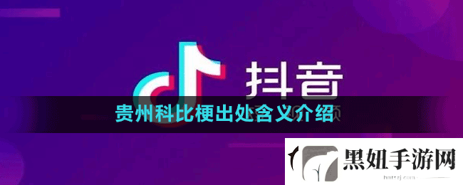 贵州科比什么梗