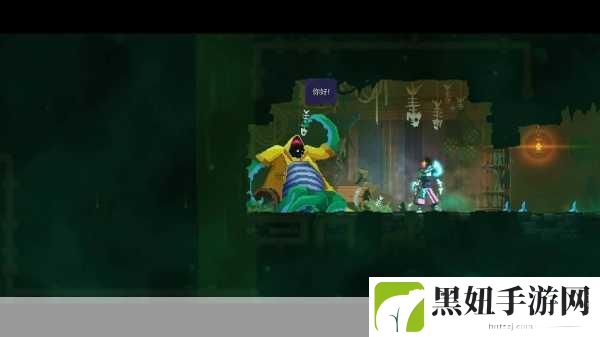 重生细胞王后与海DLC，深度攻略与隐藏秘密大揭秘