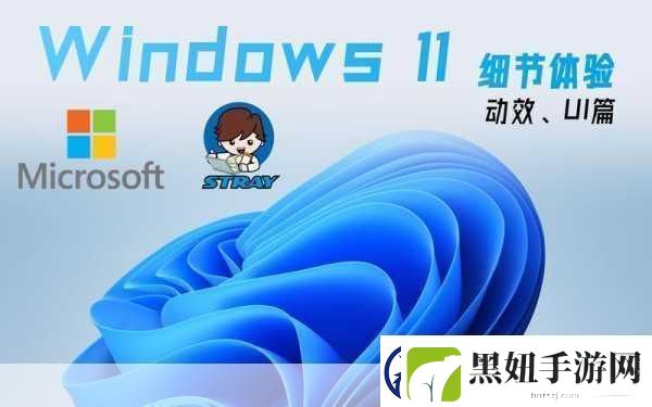 中国高清windows视频软件