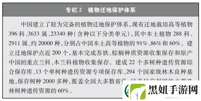 从法术多样性角度分析元仙相较于力仙的优势与劣势