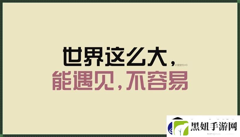 敏静坏老人金句爆笑科技圈！友