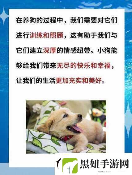 人or猪or狗已彻底下架